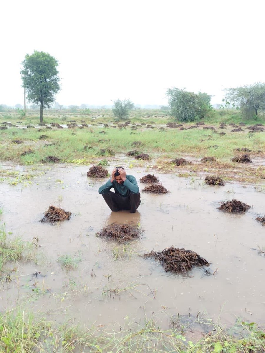 पसीना बहाकर रचता है अनाज की पहचान,
फिर भी मौसम करता है उसका अपमान।
बेमौसम बारीस ने छीन ली मुस्कान,
रोती है धरती, तड़पता किसान।
#किसानों_को_मुआवजा_दो 
<a href="/JATbera1/">Bhera ram</a> <a href="/Bhincharpooja/">Pooja bhinchar </a>