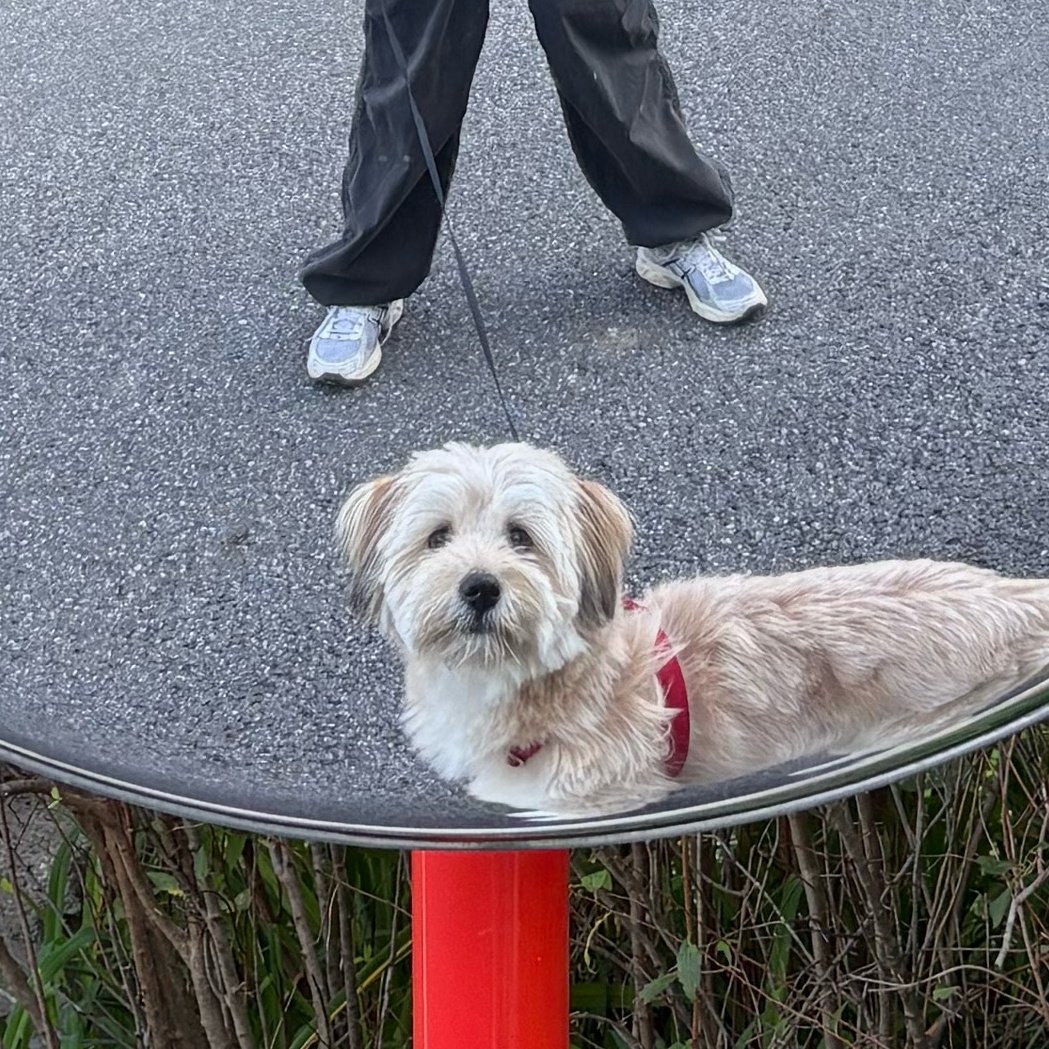 아 만복이 표정봐 ㅜㅜㅜㅜ 개기엽네