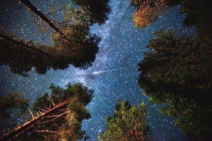 iamnowandhere's tweet photo. 我、國家、地球、星空、宇宙、造物主：

因我立存
是以緣聚成國家
歇止這娑婆有情裡
立止仰望那星空成無量
詠嘆宇宙何如之造化兮
只或造物主眠如一輕夢

我
為我宇宙之主人

因我立存
是以宇宙開展
是以星空點亮
是以娑婆運行
是以人團緣聚

我
乃造物之兒女
乃道之載器
乃荷光之信使
乃吟遊十方之旅人 https://t.co/3UFhfc2dJO