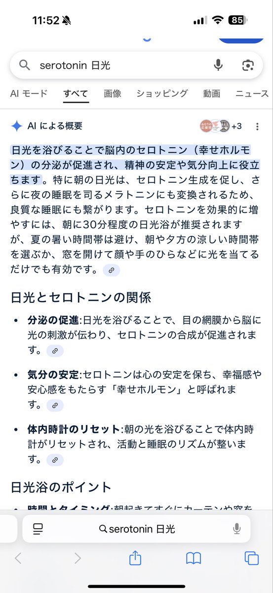 Tangler1204's tweet photo. @giogioworld 猫と共にカーテン開けて日光浴びなさい笑 https://t.co/u7r2je5kxP