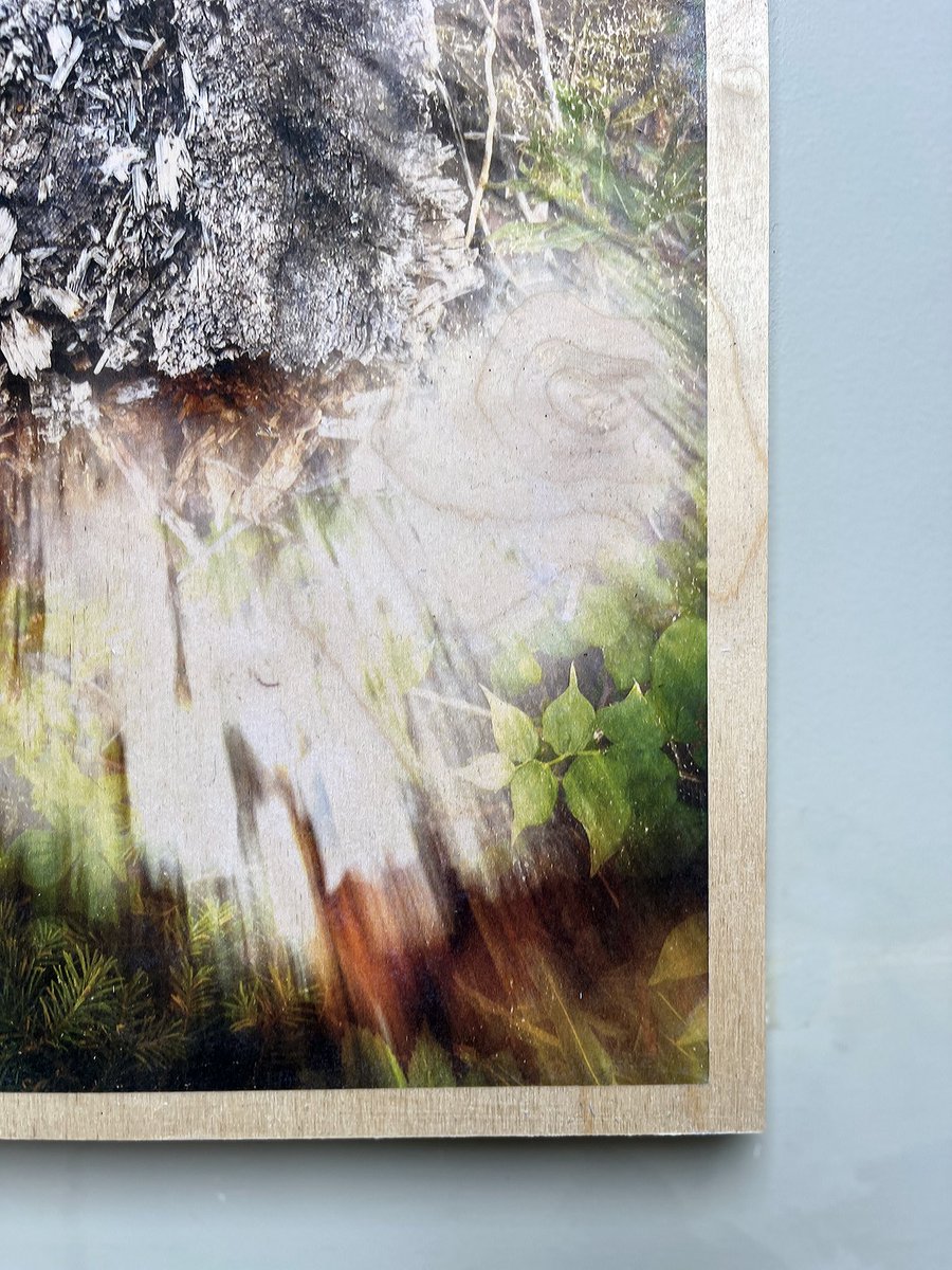 SacredStills's tweet photo. We are a Virus - Age 56
*
We’re Open First Saturday, 
Oct 4, 2025 - Noon - 5:00pm
89 Gore Ave, Railtown, EastVan.
*
New 2D Photo Transfer Artworks on Wooden Panel, 16” x 24” (in progress)
*
#ErodedOrigins #SpeakForMe #ClimateArt #ClimateAdvocacy #EcoArt #firstsaturdayopenstudios https://t.co/VnNafDlv0A