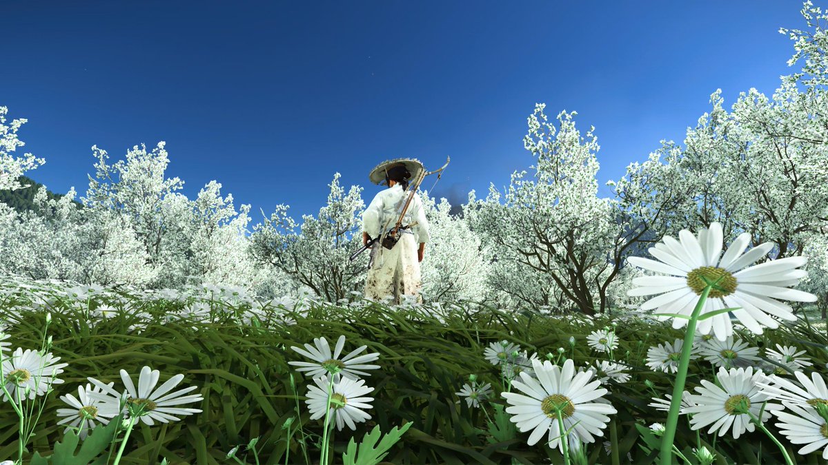 am4nsingh's tweet image. #GhostofYotei