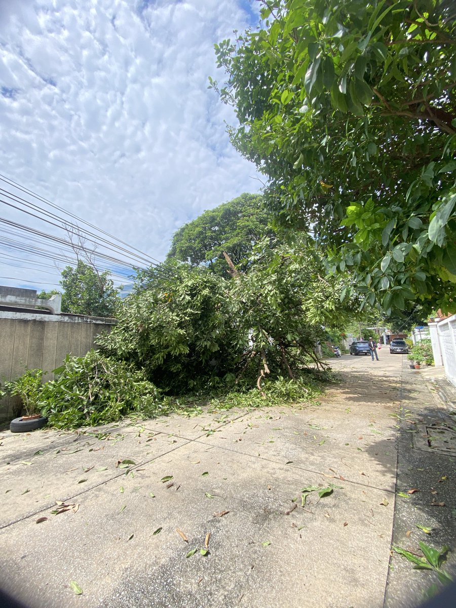 Apiwatmart1's tweet photo. สืบเนื่องจากเมื่อวานที่ฝนตกหนัก และพายุเข้า
🌪️ พายุถล่มกรุงเทพฯ 🌪️
‼️เขตจตุจักรได้รับผลกระทบจากพายุในครั้งนี้ ทำให้มี ต้นไม้หักโค่นและเสาไฟฟ้าล้มหลายจุด

ขณะนี้ผม สก.อภิวัฒน์ ด่านศรีชาญชัย เขตจตุจักร ร่วมกับคุณประสาท โพธิ์ศรีมาตย์ ผอ.เขตจตุจักร พร้อมด้วย หัวหน้าฝ่ายเทศกิจ และเจ้าหน้าที่ที่เกี่ยวข้องได้ลงพื้นที่ตรวจสอบและเร่งแก้ไขปัญหาอย่างเร่งด่วน เพื่อความปลอดภัยของพี่น้องประชาชนครับ ✅

🙏 ขอให้ทุกท่านเพิ่มความระมัดระวังในการสัญจร หากพบจุดที่มีความเสี่ยงสามารถแจ้งเข้ามาได้ทันทีครับ

ติดตามการลงพื้นที่ 3/10/68 
Live : https://t.co/cE4jAV85kg

Post : https://t.co/1Ty7GF23H2

.
📍ติดต่อ-สอบถาม-แจ้งเรื่องร้องเรียน👇
“หน่วยบริการประชาชน เขตจตุจักร” 
➡️Line Official : https://t.co/emcRJD4439
➡️Line : https://t.co/RVHhXjGwDn
➡️Line : https://t.co/PJj5StofDL  

.
#สกอภิวัฒน์เขตจตุจักร #สกมาร์ทเขตจตุจักร
#สกอภิวัฒน์ด่านศรีชาญชัย #สกจตุจักร
#เพื่อคุณภาพชีวิตที่ดีของประชาชน #จตุจักร
#พรรคประชาชน #ApiwatTeam #BKK #กทม #PeoplesParty 
#สกอภิวัฒน์เขตจตุจักร #สกมาร์ทเขตจตุจักร