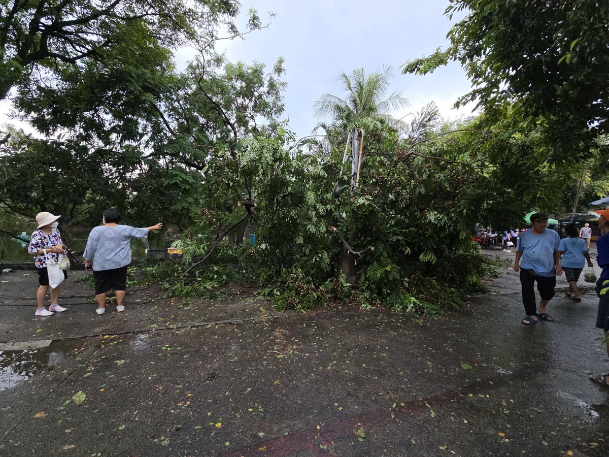 Apiwatmart1's tweet photo. สืบเนื่องจากเมื่อวานที่ฝนตกหนัก และพายุเข้า
🌪️ พายุถล่มกรุงเทพฯ 🌪️
‼️เขตจตุจักรได้รับผลกระทบจากพายุในครั้งนี้ ทำให้มี ต้นไม้หักโค่นและเสาไฟฟ้าล้มหลายจุด

ขณะนี้ผม สก.อภิวัฒน์ ด่านศรีชาญชัย เขตจตุจักร ร่วมกับคุณประสาท โพธิ์ศรีมาตย์ ผอ.เขตจตุจักร พร้อมด้วย หัวหน้าฝ่ายเทศกิจ และเจ้าหน้าที่ที่เกี่ยวข้องได้ลงพื้นที่ตรวจสอบและเร่งแก้ไขปัญหาอย่างเร่งด่วน เพื่อความปลอดภัยของพี่น้องประชาชนครับ ✅

🙏 ขอให้ทุกท่านเพิ่มความระมัดระวังในการสัญจร หากพบจุดที่มีความเสี่ยงสามารถแจ้งเข้ามาได้ทันทีครับ

ติดตามการลงพื้นที่ 3/10/68 
Live : https://t.co/cE4jAV85kg

Post : https://t.co/1Ty7GF23H2

.
📍ติดต่อ-สอบถาม-แจ้งเรื่องร้องเรียน👇
“หน่วยบริการประชาชน เขตจตุจักร” 
➡️Line Official : https://t.co/emcRJD4439
➡️Line : https://t.co/RVHhXjGwDn
➡️Line : https://t.co/PJj5StofDL  

.
#สกอภิวัฒน์เขตจตุจักร #สกมาร์ทเขตจตุจักร
#สกอภิวัฒน์ด่านศรีชาญชัย #สกจตุจักร
#เพื่อคุณภาพชีวิตที่ดีของประชาชน #จตุจักร
#พรรคประชาชน #ApiwatTeam #BKK #กทม #PeoplesParty 
#สกอภิวัฒน์เขตจตุจักร #สกมาร์ทเขตจตุจักร