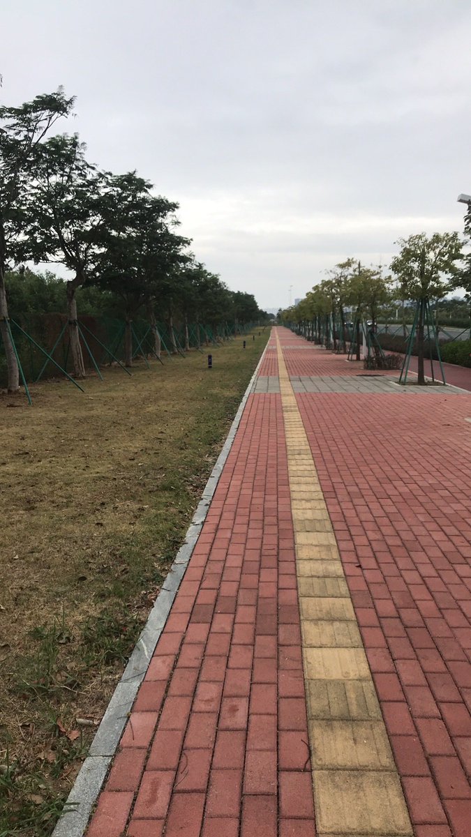 Linjun866's tweet image. 空气清新，景色宜人！