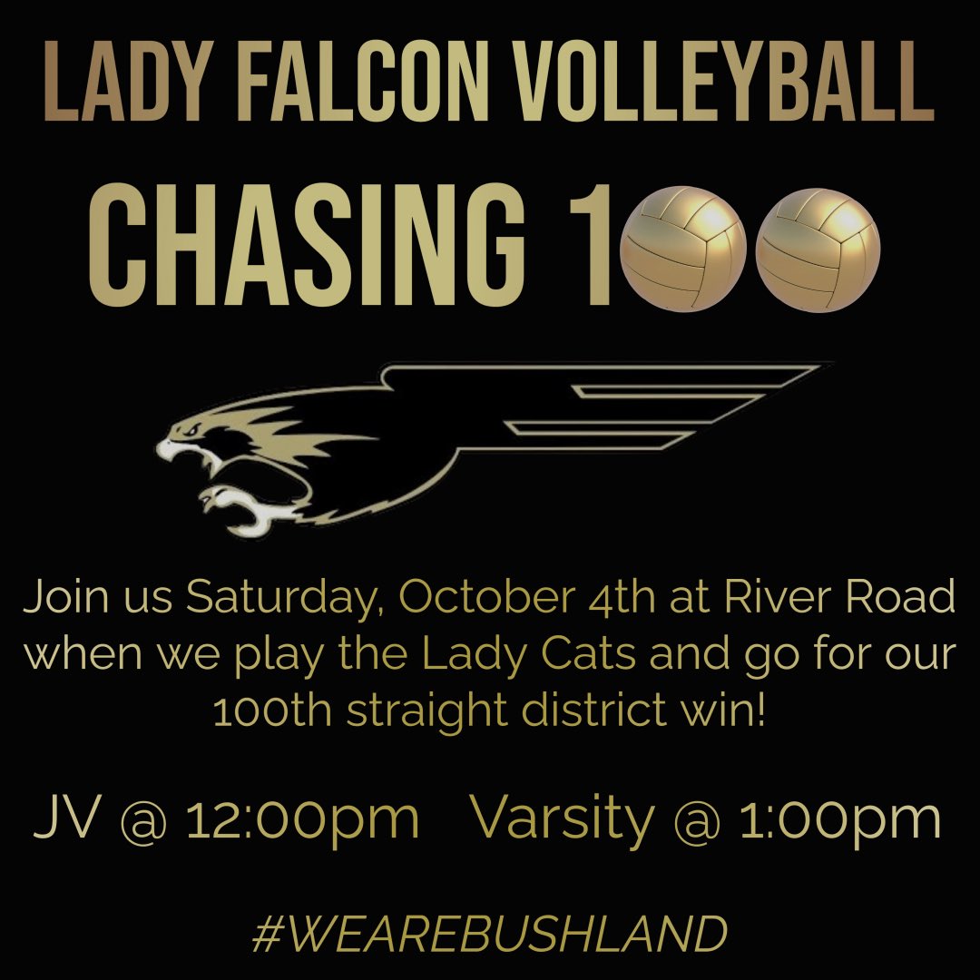 BushlandVolleyball tweet media