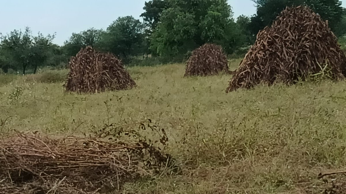 लिखने में कोई कंजूसी ना करें ।

हम किसान हैं अपने हक के लिए नहीं लड़ेंगे तो क्या ही करेंगे
#किसानों_को_मुआवजा_दो 
#किसान_मांगे_मुआवजा