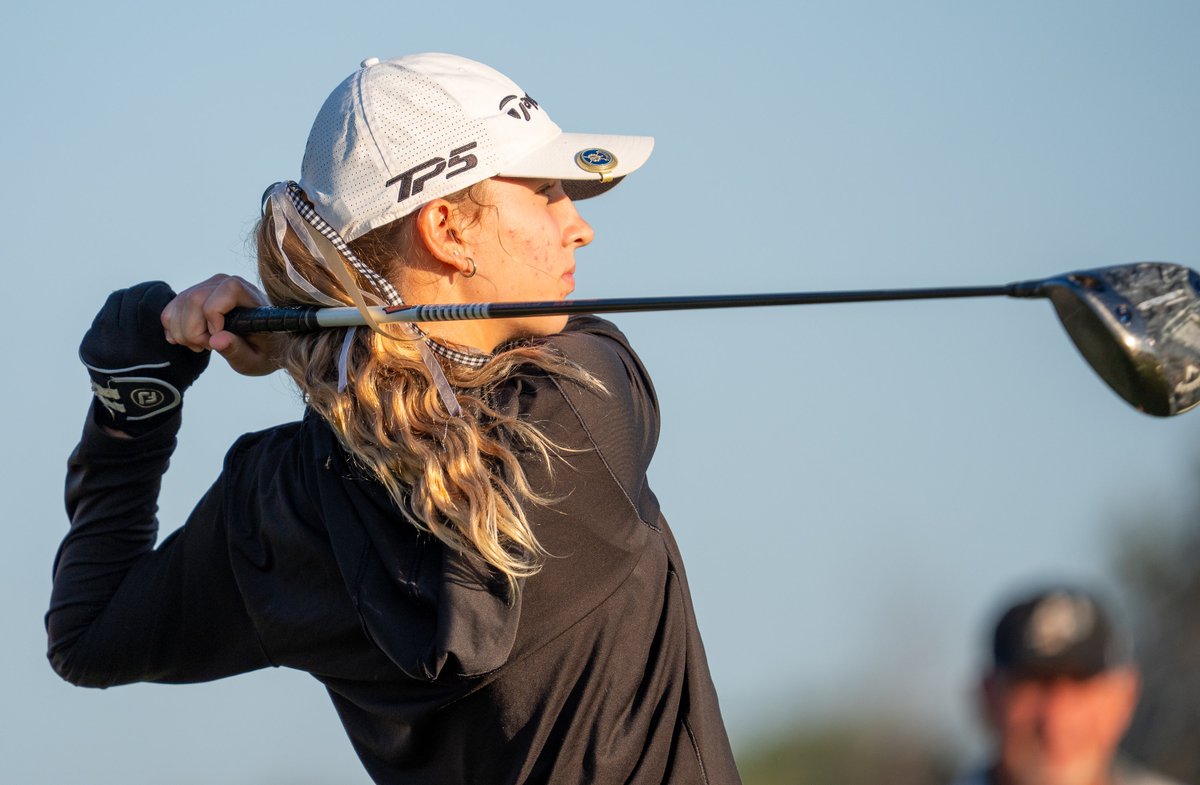 hank 🇰🇷 tweet media