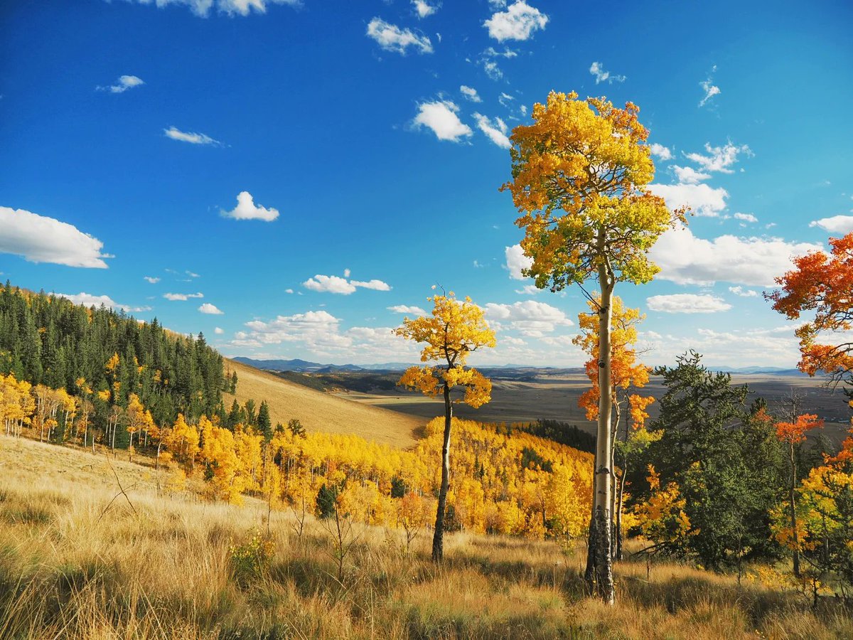 Trevor Keller tweet media