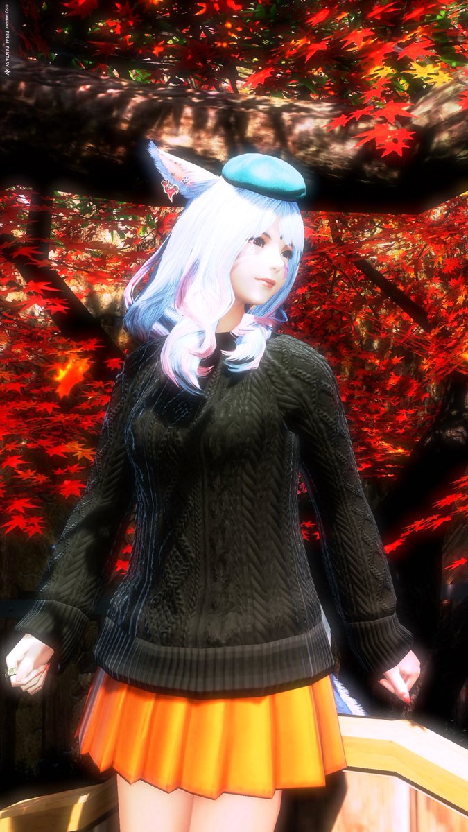 ruri18_ff14's tweet image. #おはミコ です🌸🐈‍⬛🐾
今日もステキな1日を♪

まだお昼だし、どこか出かけようかな✨
(行き先は決まってないけどね)

#ミコッテ #FF14