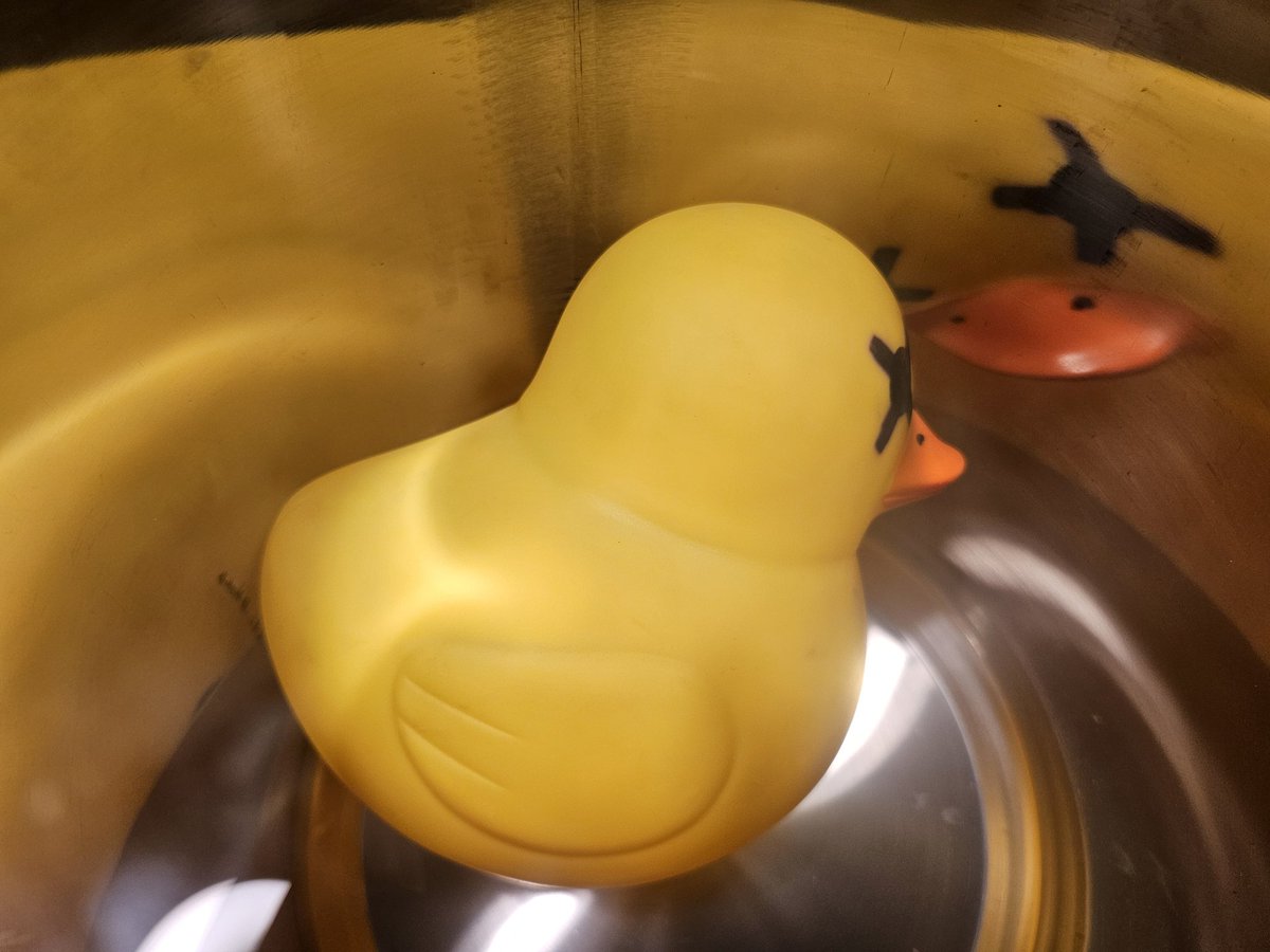 Vacuum pot a rubber ducky

Fat duck.