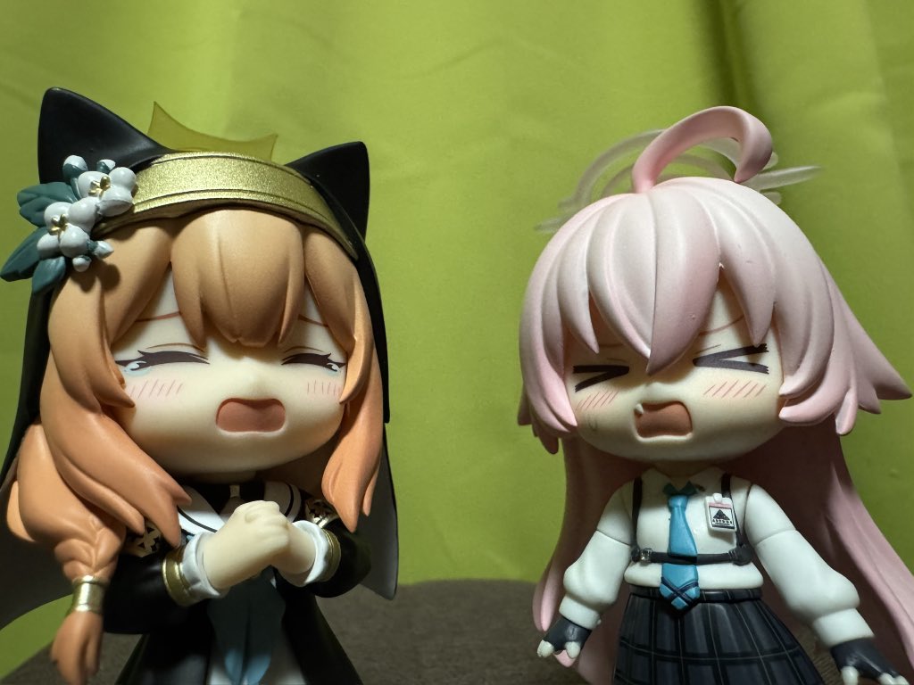 毒チワワ様取り置き 毒チワワ 毒チワワ