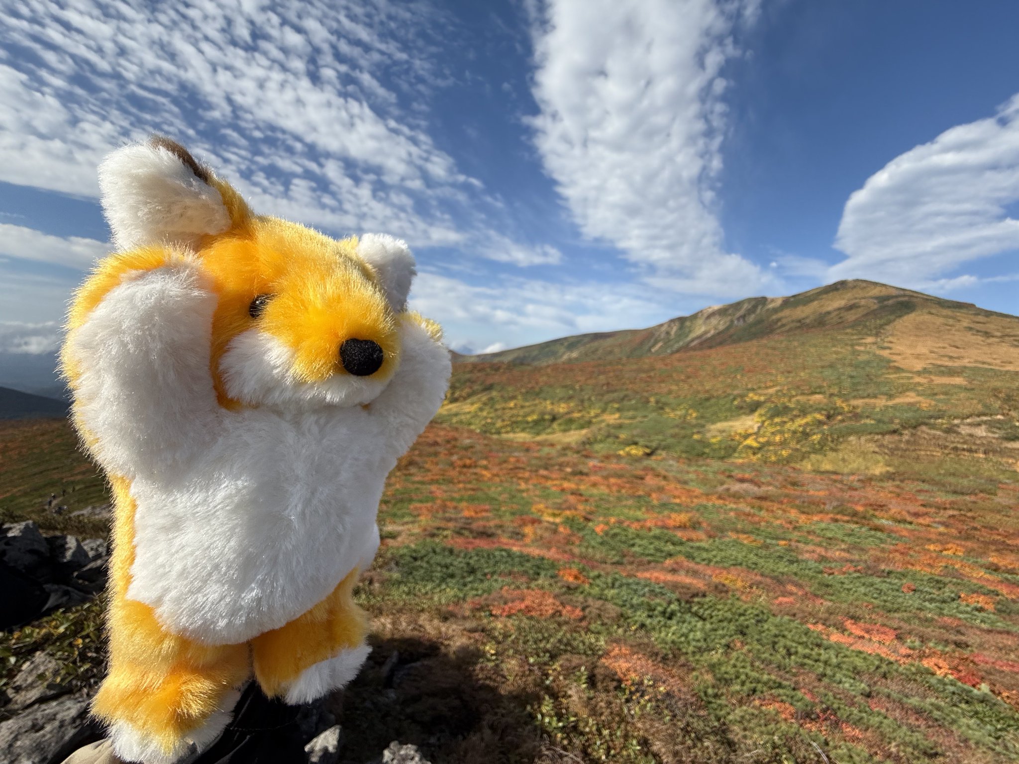 狐童(KODO) 狐童(KODO) Amazon.co.jp: BEST OF KODO - 鼓童: ミュージック