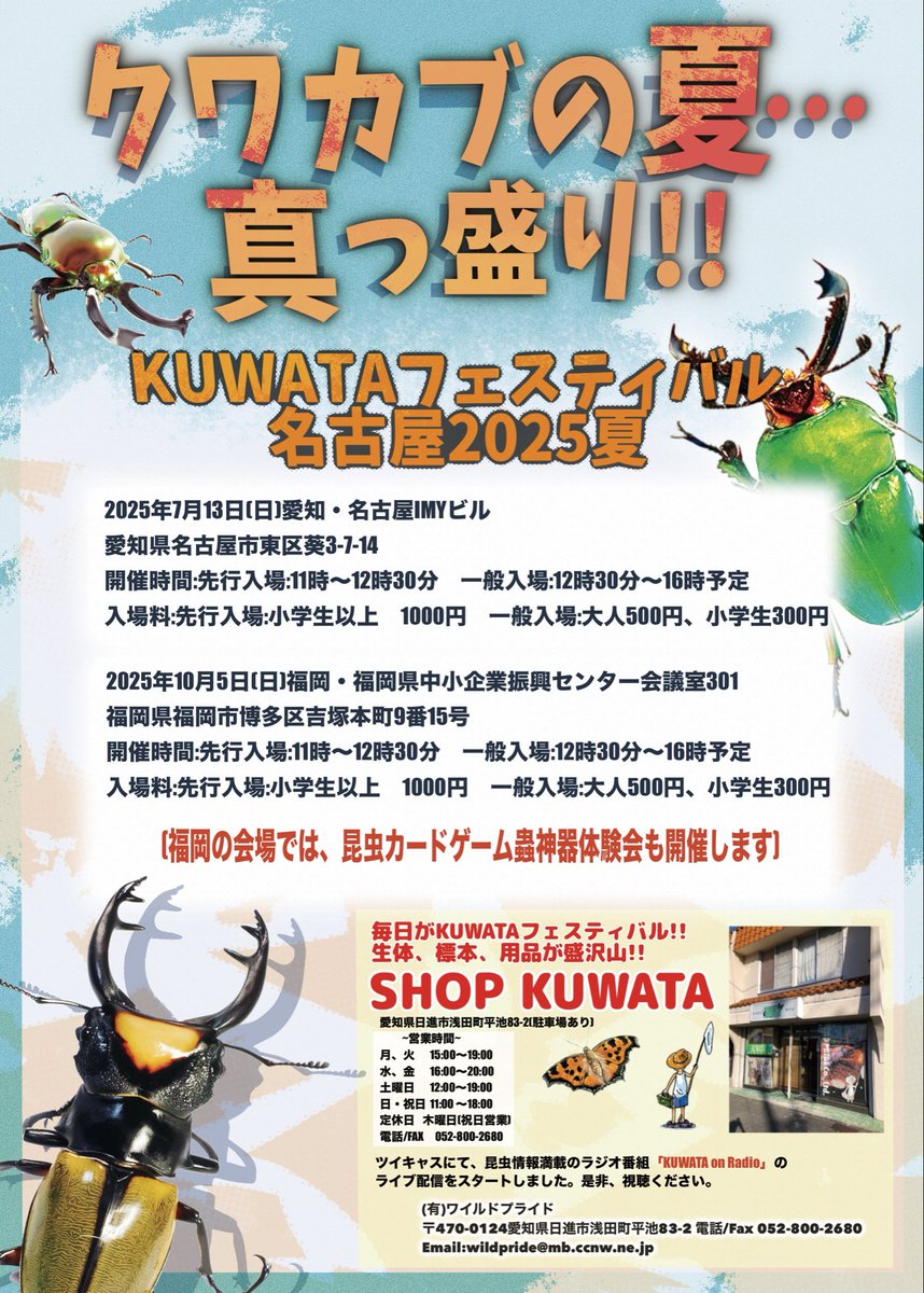日曜日まで限定セール　昆虫標本 G2YqgBoa4AAj65p.jpg