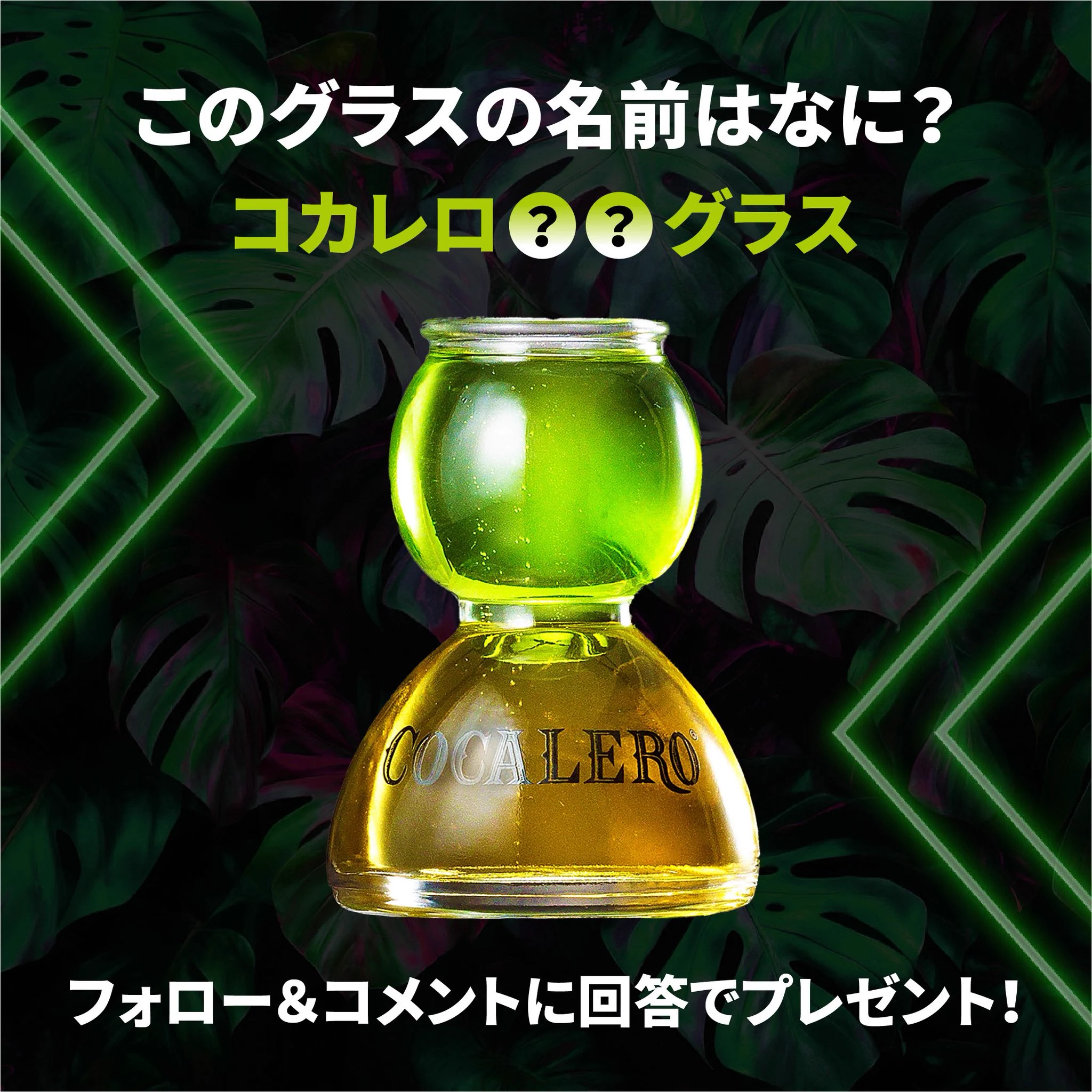 Highlights by COCALERO Japan official | コカレロ ジャパン公式