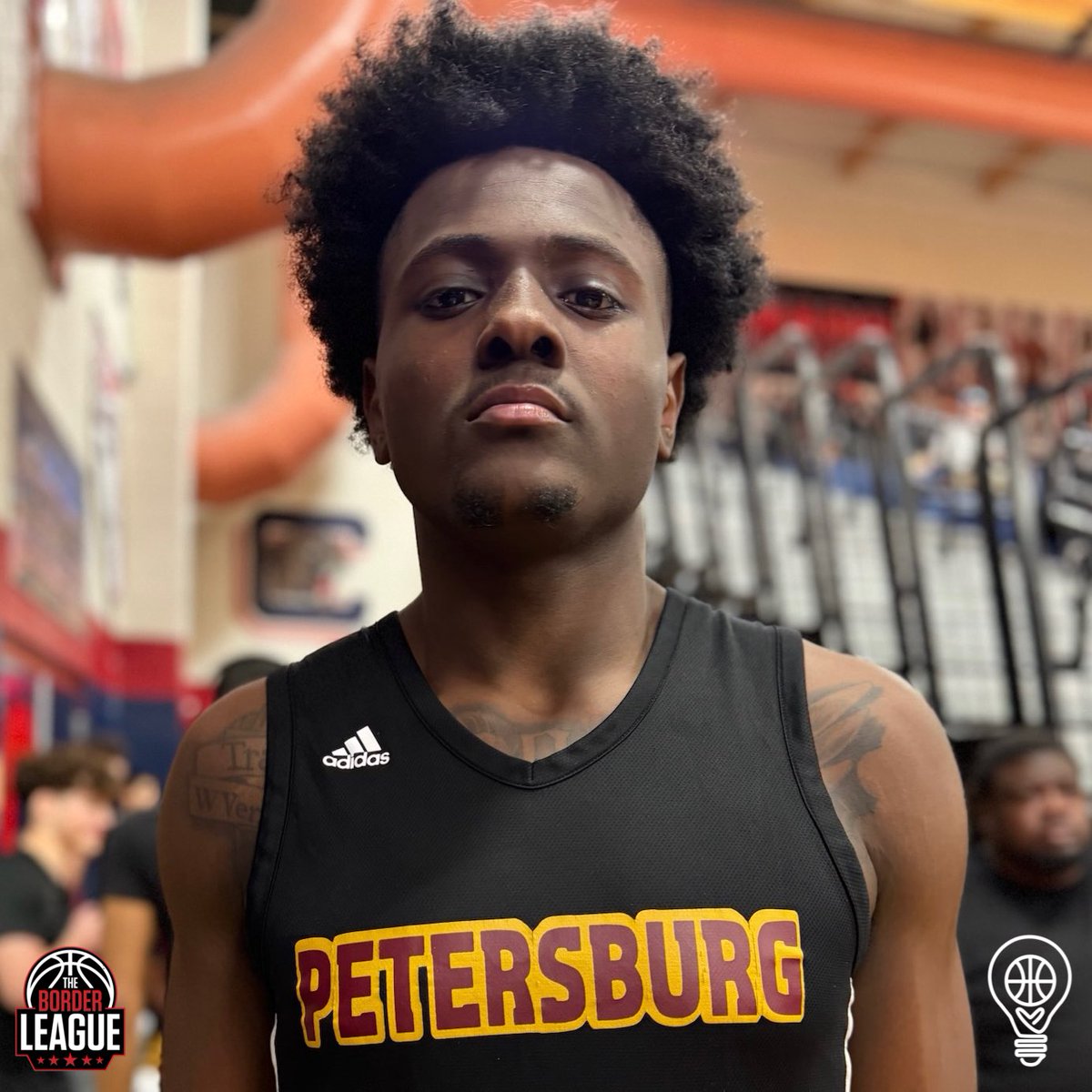 Pro Insight tweet media