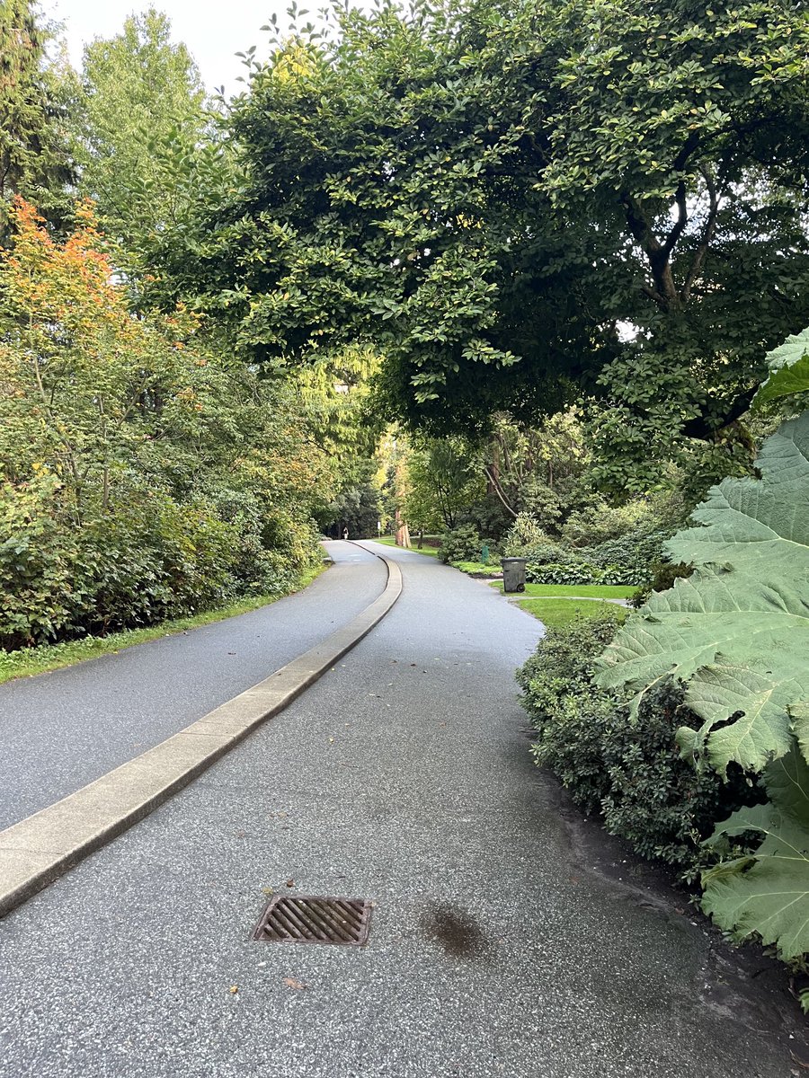 kayo_ttv's tweet photo. To wrap it up here is Stanley Park. Since I like nature a lot this was a really nice place to check out and can highly recommend if you visit Vancouver 👌 https://t.co/Jh5M0rQAEK