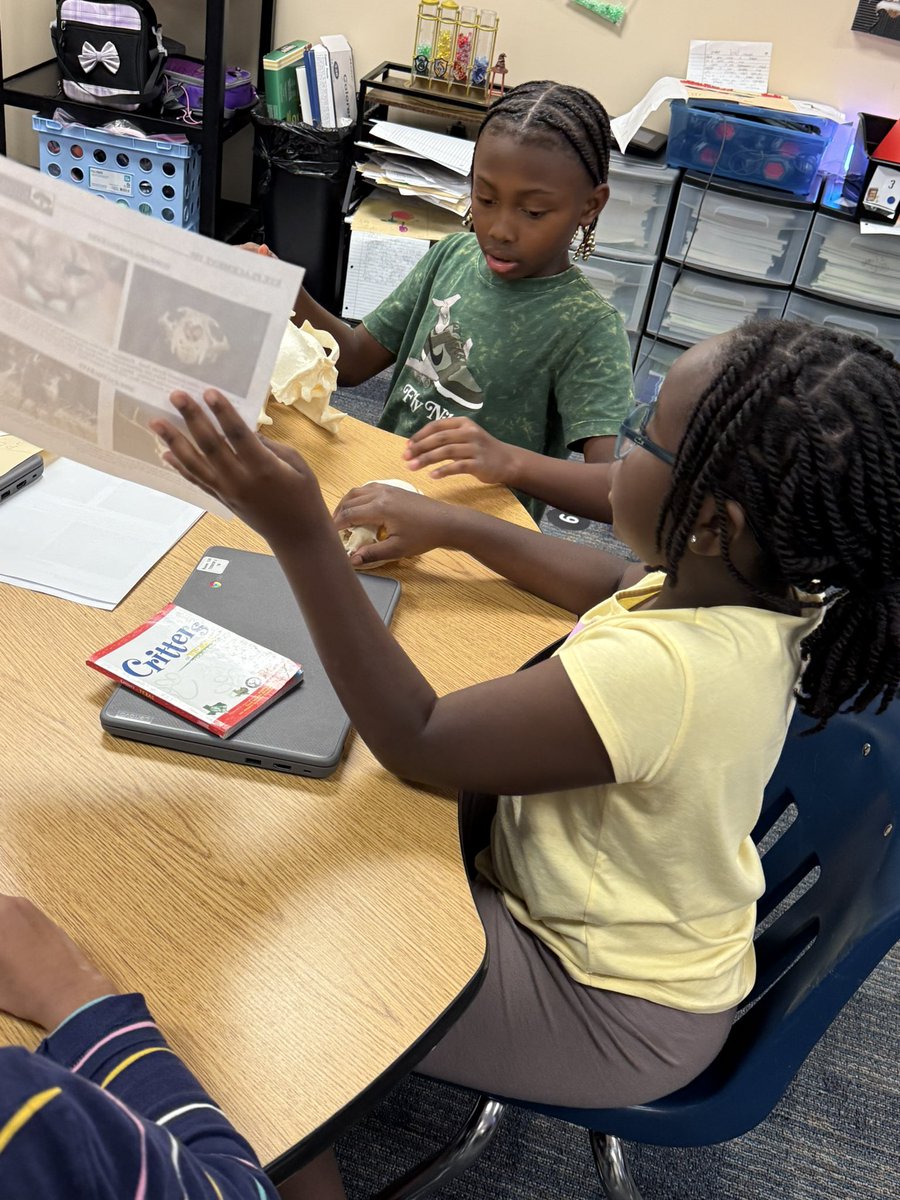 CnhBethechange's tweet image. Loved seeing my students use text evidence to be able to justify the decision of their animal classification! @BensBranchElem @texaswildlife #discoverytrunks #animalclassification #makingreadingreal #connectotthecontent