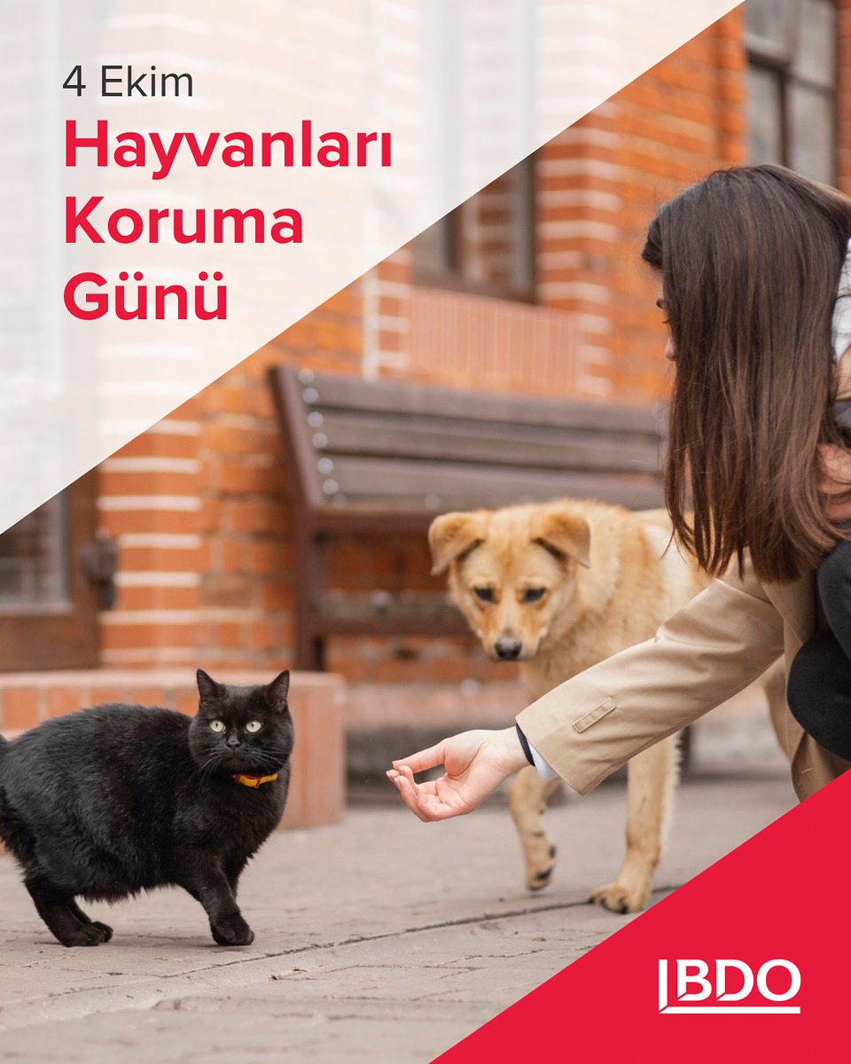 bdoturkiye's tweet photo. Sadece insanlar için değil, tüm canlılar için daha yaşanabilir bir dünya mümkün.

BDO olarak doğaya, çevreye ve tüm canlılara duyduğumuz saygıyla sürdürülebilirlik anlayışımızı her alanda yaşatmaya devam ediyoruz. https://t.co/kWxh8B8TyH