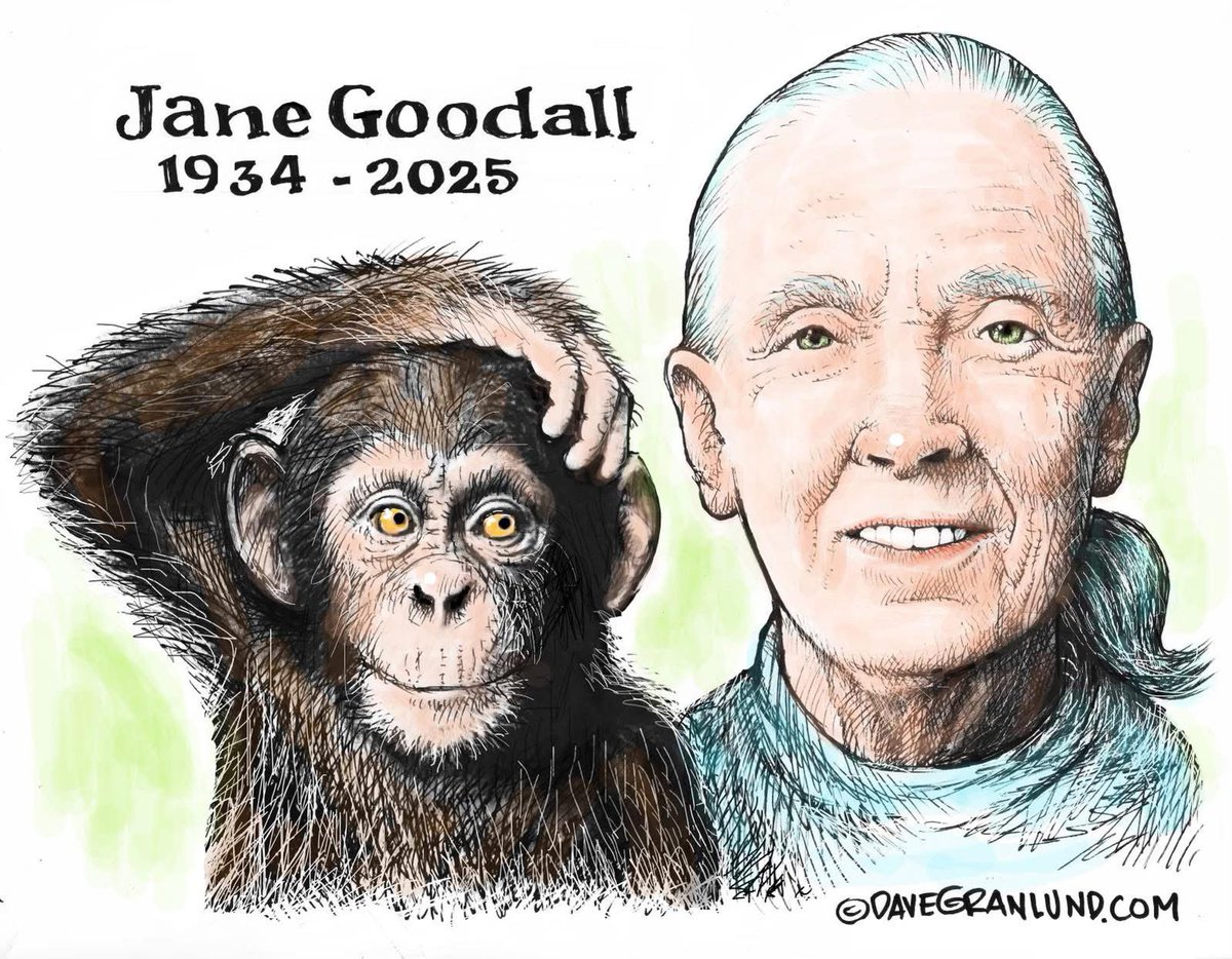 luyuncan's tweet image. 