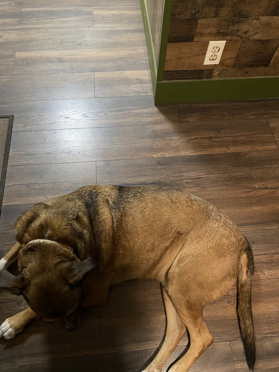 NiceGuyEricFitz tweet media