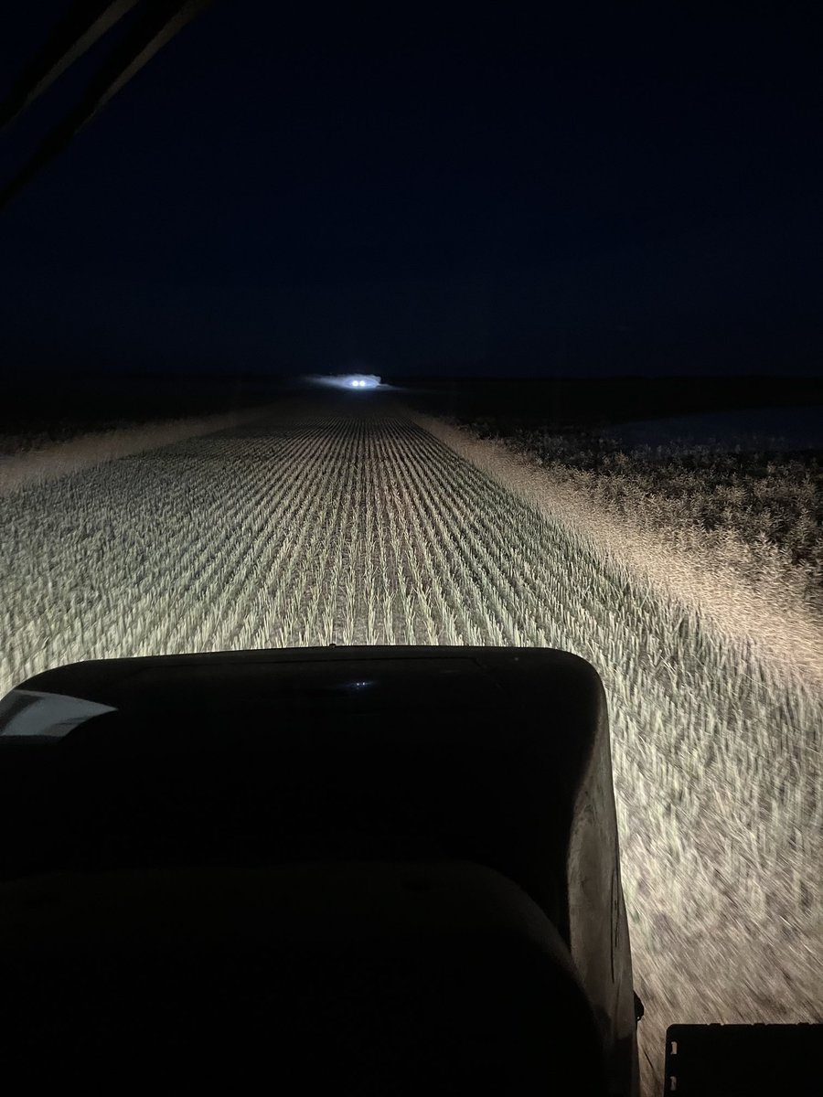 This L340P canola crop was planted with the type of drill that the birdman says doesn’t work. It didn’t rain for nearly a month after seeding, some pretty good rains later, and the yield ⬆️🌙. 
So that is incorrect. Same as the previous 20 years.