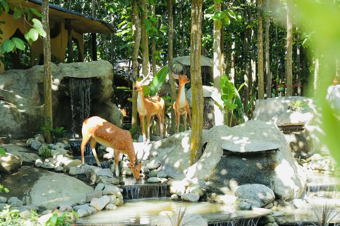 viha78365's tweet photo. The echo of a natural waterfall and the charm of stunning architecture… that’s the magic of ARJB Farms. Assam’s most unique event destination
#ARJBFarms #EleganceMeetsNature #AssamDiaries #EventDestination #PhotoParadise #NatureCharm  #ProudHeritage https://t.co/EH4kQXp2mi