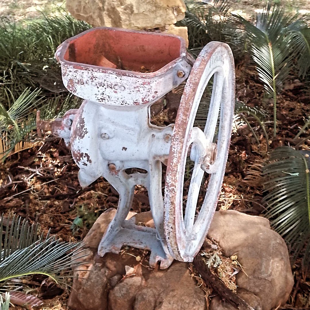 KameelHuise's tweet photo. Garden at #dievoormanshuis 
#Kameelstoepstories #KameelHuiseTussenSpore #kameelZA #RouteR377 #Noordwes https://t.co/dhRMYBxSdL
