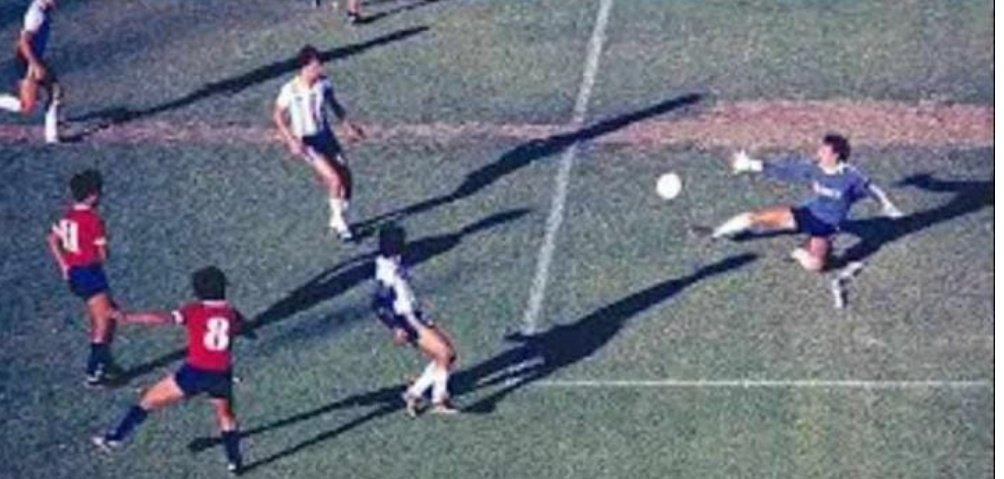 No te confundas hijo, al peor rasin de la historia lo mandamos a la B, para dsp salir campeón del mundo mientras vos perdias el ascenso para ser el único grande con 2 años alla. No sé puede cambiar la historia.