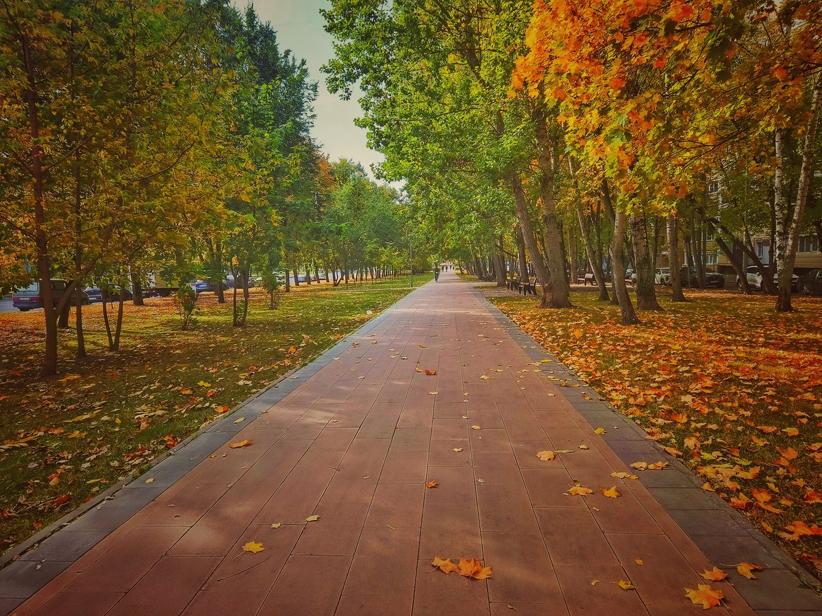 AlekseyDV's tweet photo. #москва #Россия #осень #Moscow #Russia https://t.co/IffqZA5uVx