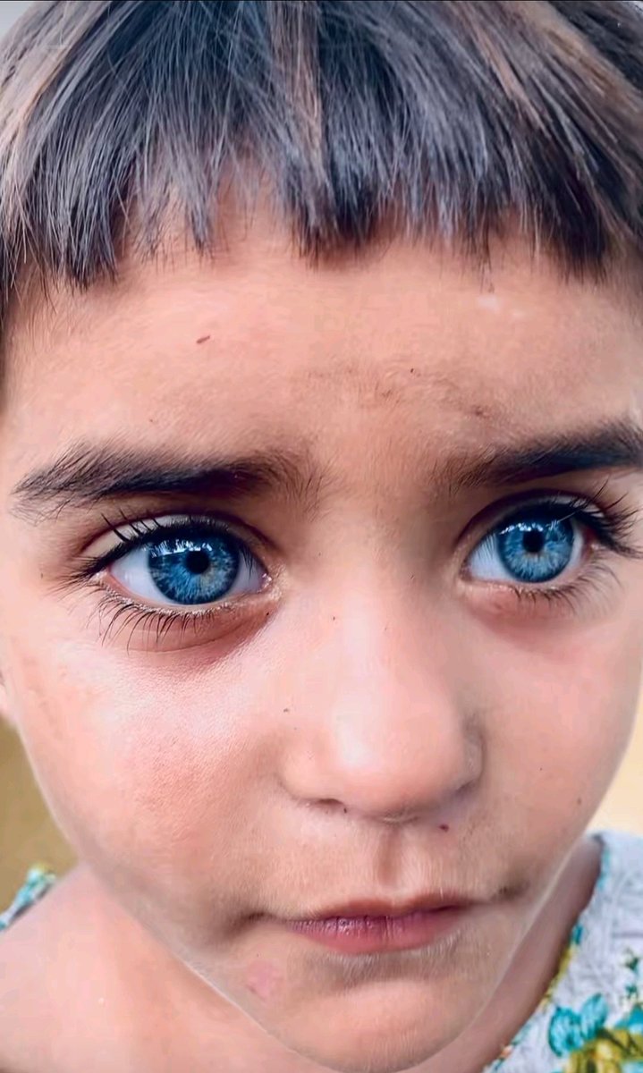 Hk Sohan tweet media