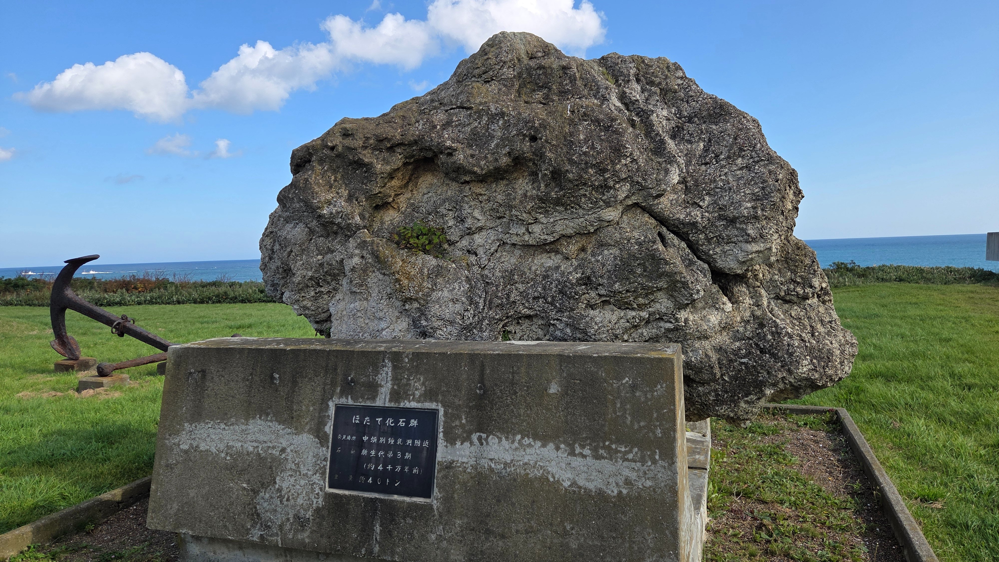 北海道初山別村産　クモヒトデ化石　密集標本　貴重標本　化石 日本一の大塊炭がある「旧太平洋炭礦 炭鉱展示館」 〒085-0805