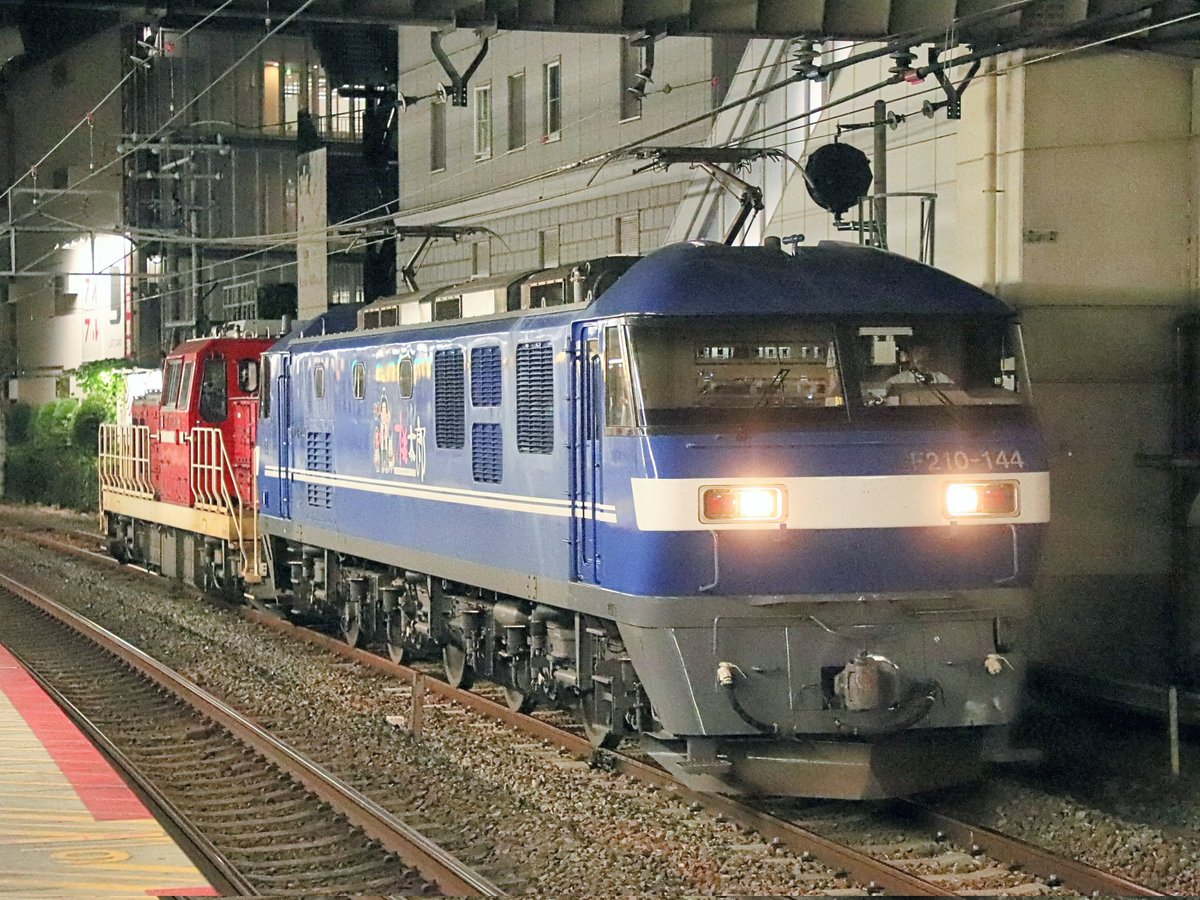 拓片28 Sawsbuck - 074/071 - SV5M: Cyber Judge - Pokemon Japan