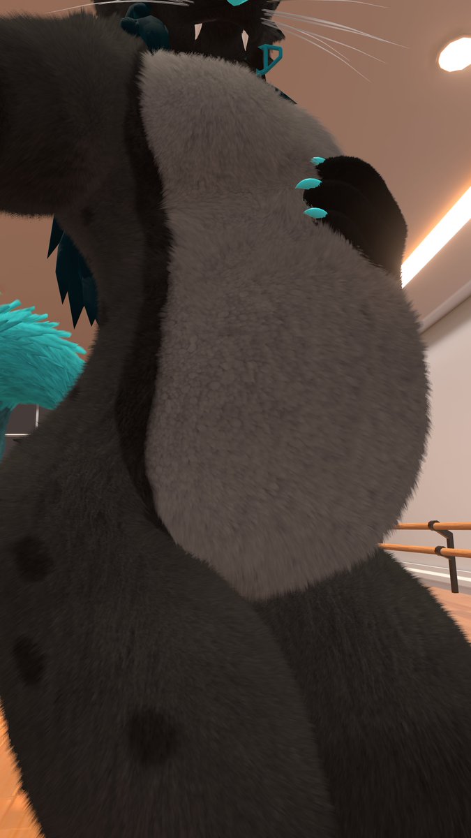 dashy 🔜 FWA, AC tweet media