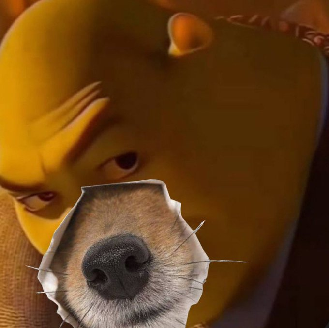 IYNYN ...

$NOSE

4Bf3MmVBm94pMcXmnUfWrG95AApZHuEbGoztdGAxpump