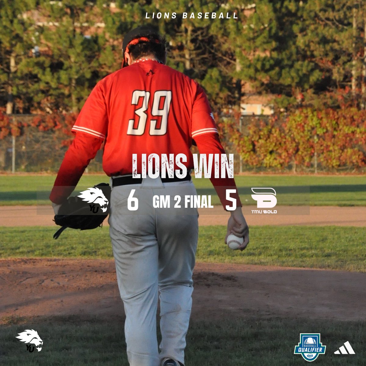 York Lions Baseball tweet media