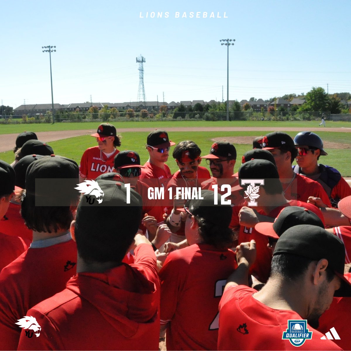 York Lions Baseball tweet media