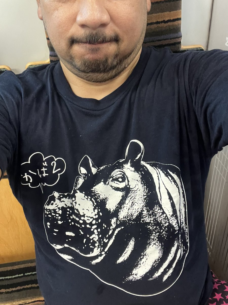メロン記念日福岡、15年ぶりとなるとかつてのＴシャツが発掘出来ない・・・・ww。
やっとこ出て来たコレで参戦wwww。