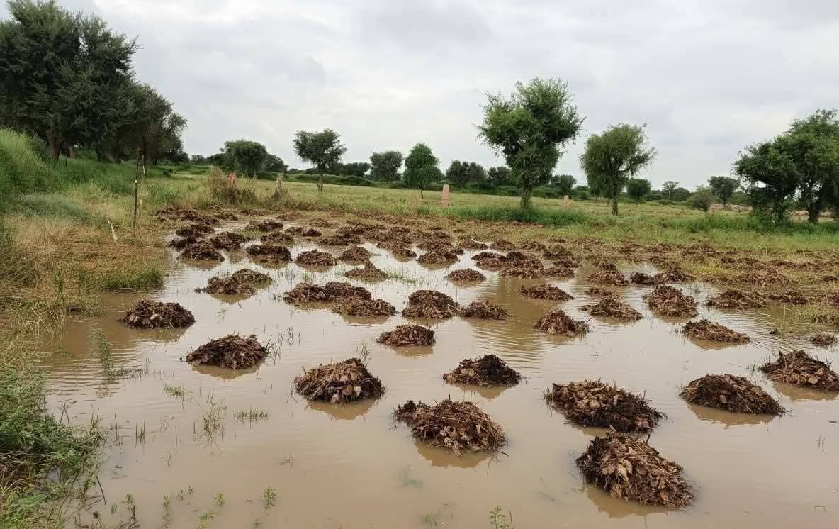 यह बारिश नहीं आफत है किसानों के लिए...🙏

#किसानों_को_मुआवजा_दो