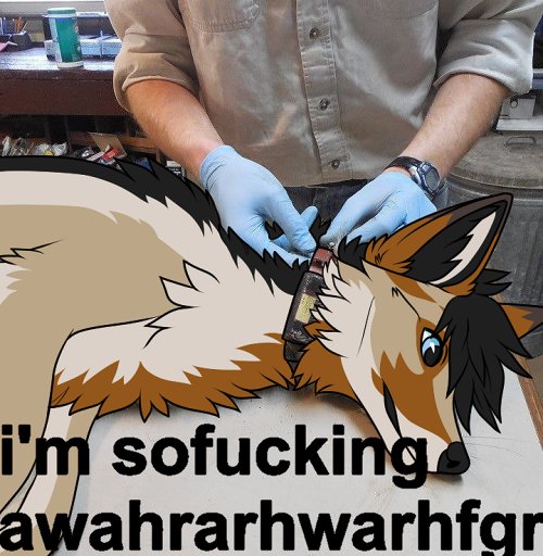 🌵 awahrarhwarhfgh
🎨: <a href="/chevypepper/">Chevypepper 🔺</a>