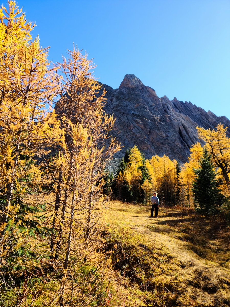 Lisa (Homer) Baril tweet media