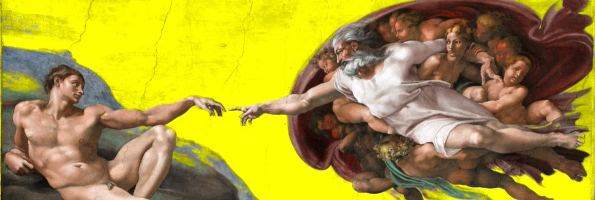 Y(ellow)🟡 tweet media