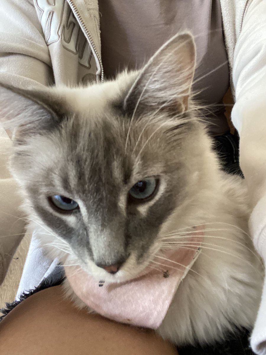 i don’t post on socials all too often so here’s a peek into the past few months! :)