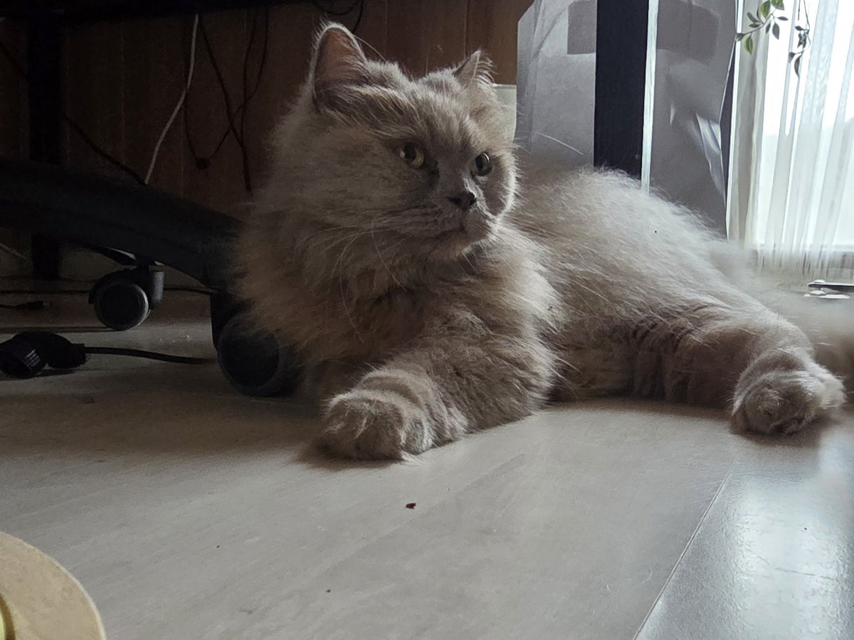 nuri 🤍 (jeno waist holder) tweet media