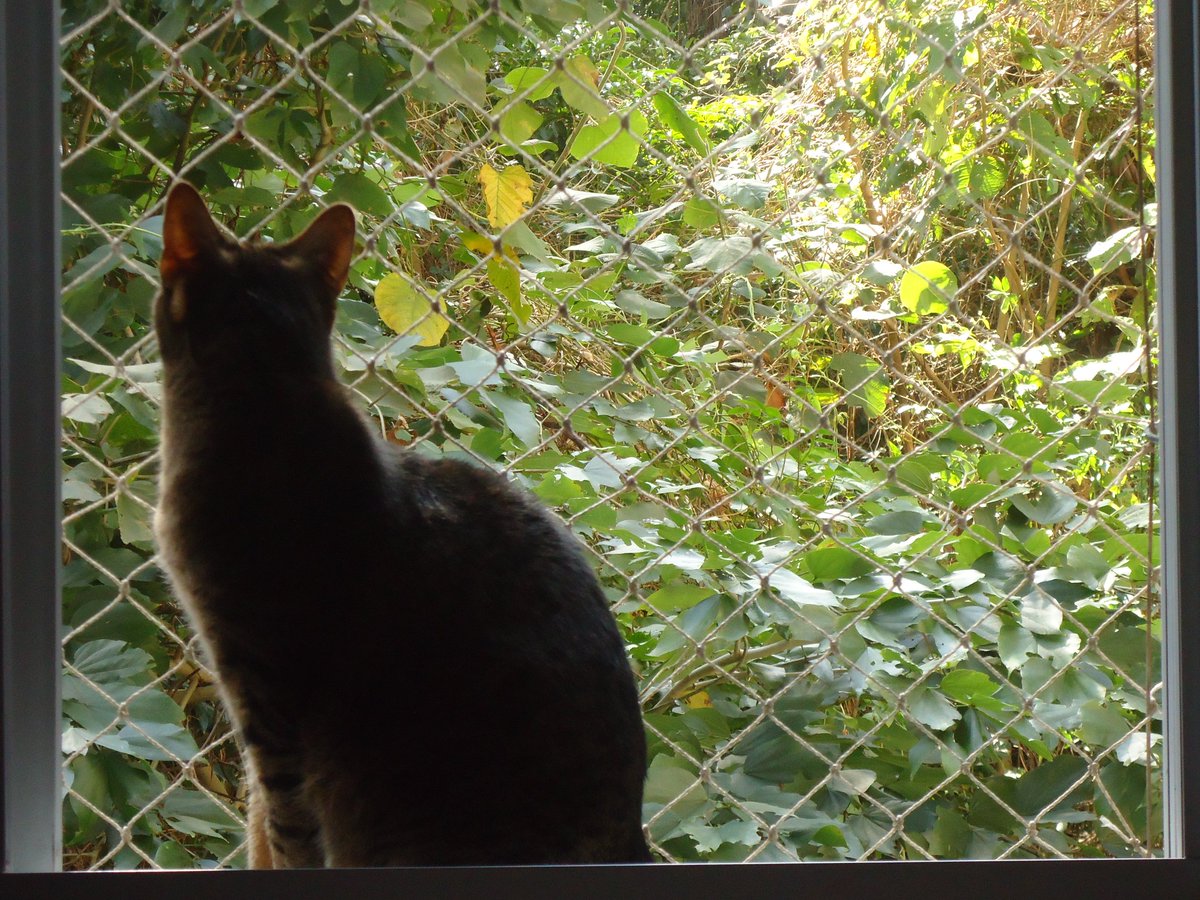 fernaUda tweet media