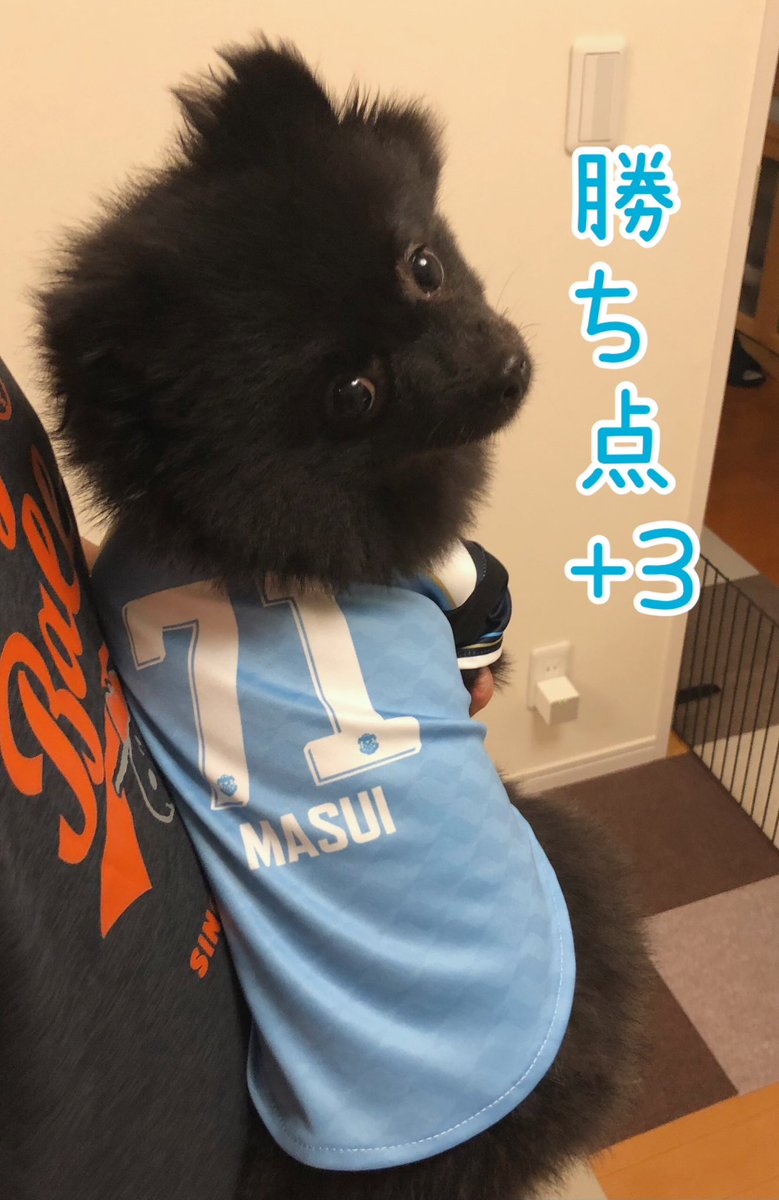 勝ったーー🐻⚽️⚽️⚽️
ジュビロ磐田👏👏👏👏👏
まだまだ諦めないよ😤
ここからマジ全勝するんだ😤
現地の皆さん雨の中お疲れ様でした😊
さぁ勝利給🍖食べよ〜🐻

わっしょい🙌わっしょい🙌
#ジュビロ磐田
#ジュヒロ磐田vsヴァンフォーレ甲府