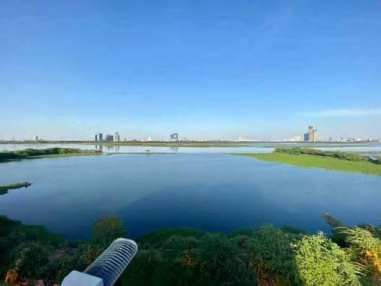 दिल्ली में भाजपा की सरकार के आने के बाद यमुना, यह आठ महीने में हो गया तो पिछली निकम्मी कामचोर भ्रष्ट सरकार ने पिछले दस वर्षों में क्या किया। 
पर आदरणीय कहते थे कि यमुना की सफाई से वोट नहीं मिलते 🙄😐😑