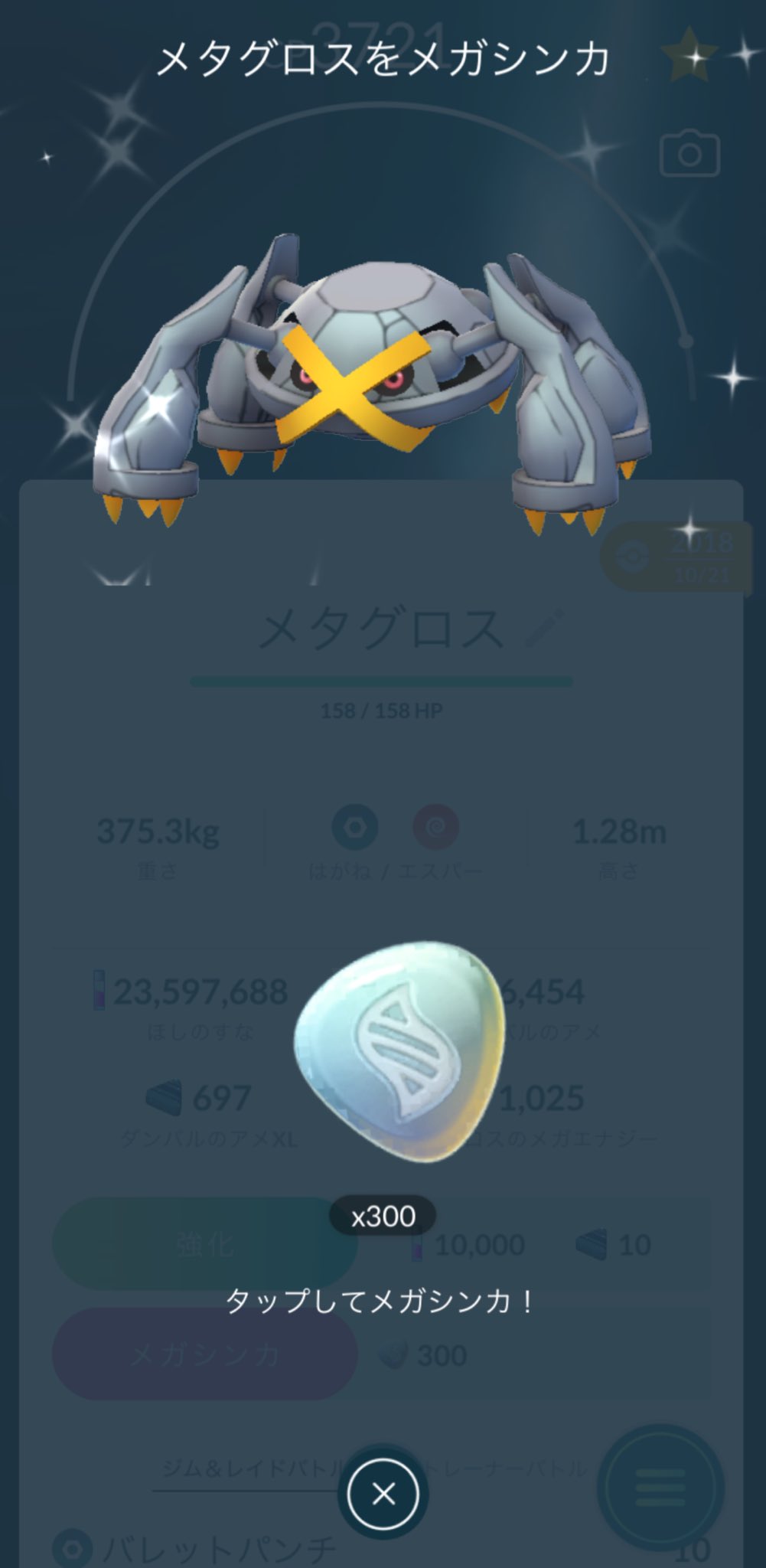 絶版貴重　色違い　メガメタグロス他　メタルチャーム　メガ進化　カロス　xy 絶版貴重 色違い メガメタグロス他 メタルチャーム メガ進化