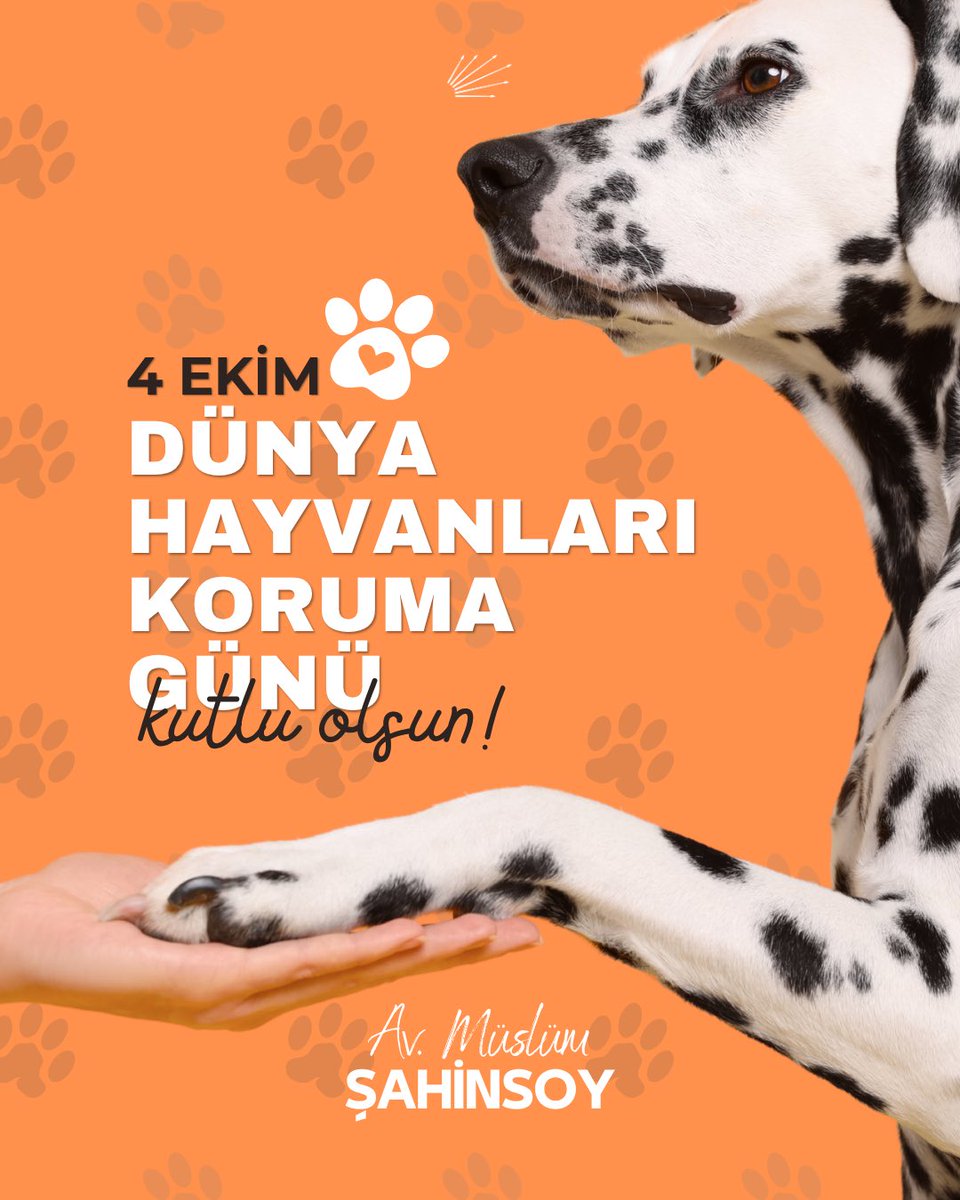 Dünya yalnızca insanların değil, tüm canlıların ortak evidir. Dünyamızı güzelleştiren sessiz ve sevgi dolu dostlarımızın günü kutlu olsun.

#DünyaHayvanlarıKorumaGünü