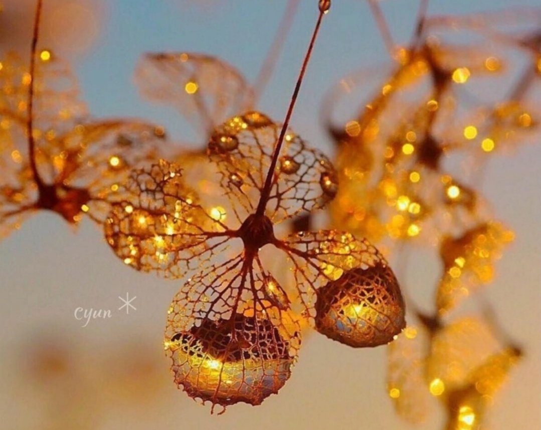 Miep51082958's tweet image. #Fragile